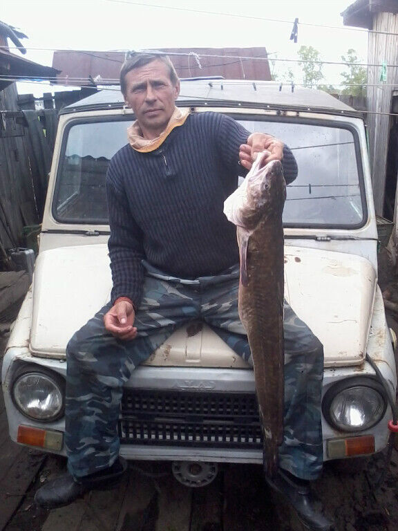 ���������� ����, ���� ������� �������, 53 ����, ������������ ��� ����� � ���������, c�������� ���������, ���������