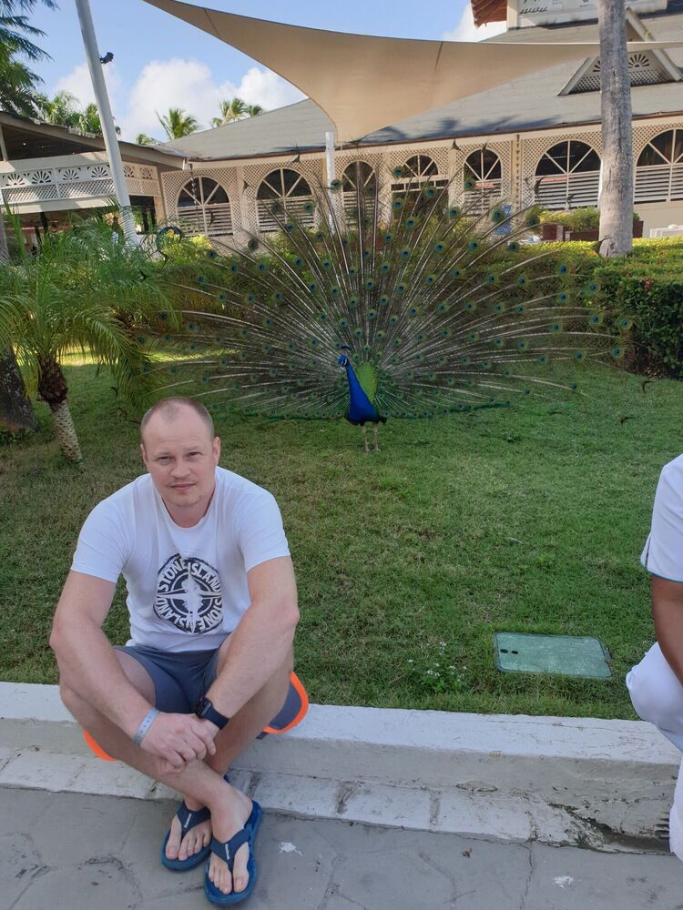 ���������� ������, ���� ������� �����, 43 ����, ������������ ��� ������, ����� � ���������, c�������� ���������