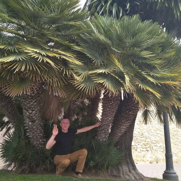 ���� 15766109 ������� ������, 52 ����, ���� ���������� � ������