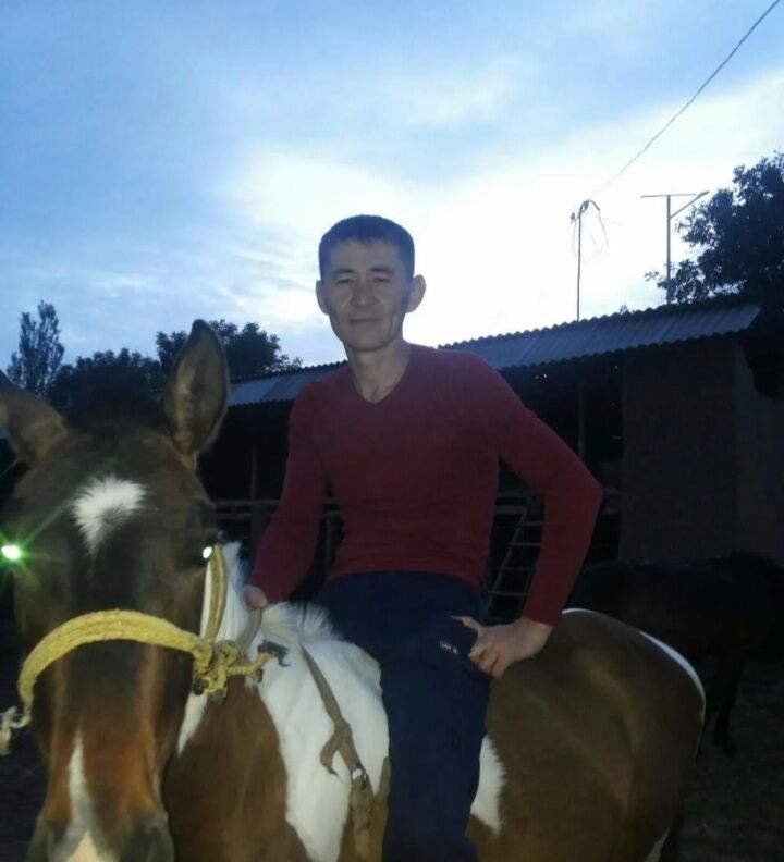 ���� 23926319 ������� �����, 53 ����, ���� ���������� � ������