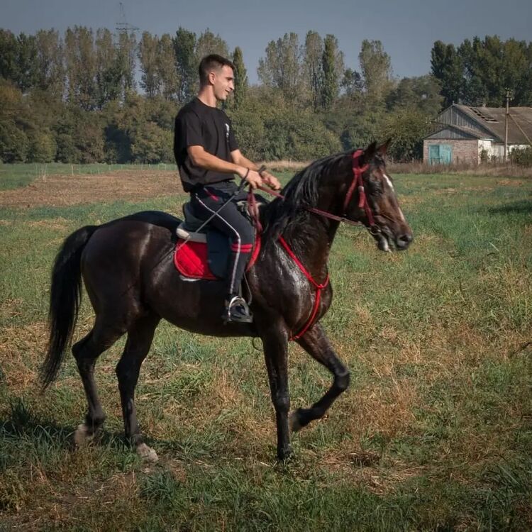  ,   Igor, 29 ,   ,   , c 