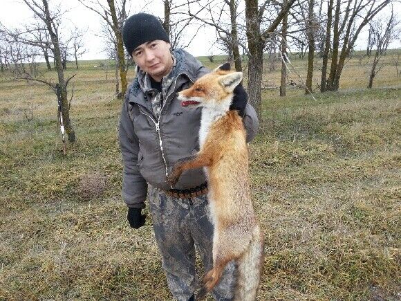 ���������� ������-��-����, ���� ������� Eduard, 45 ���, ������������ ��� ������