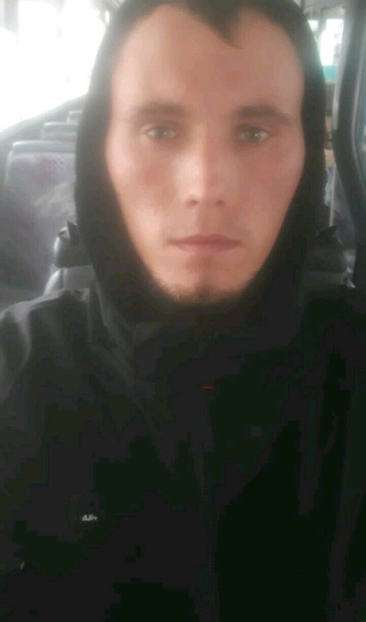  31316309  , 27 ,    