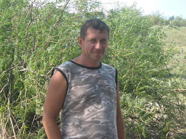 ���������� �������, ���� ������� �������, 46 ���, ������������ ��� ������