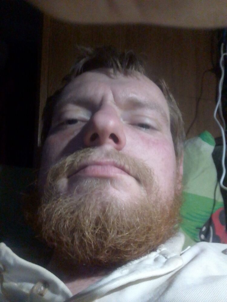  42044599  , 33 ,    