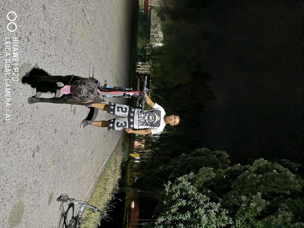 ���������� ������, ���� ������� ������, 30 ���, ������������ ��� ������, ����� � ���������, c�������� ���������