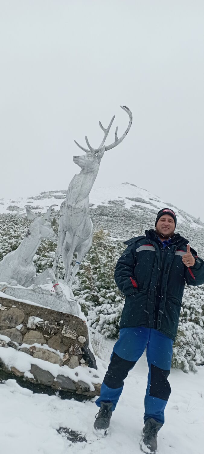 ���������� ����������, ���� ������� �������, 36 ���, ������������ ��� c�������� ���������