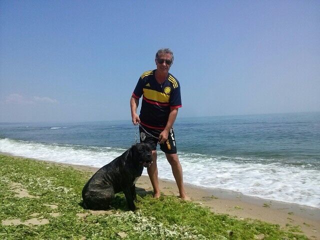  44498259  Rumen, 68 ,    