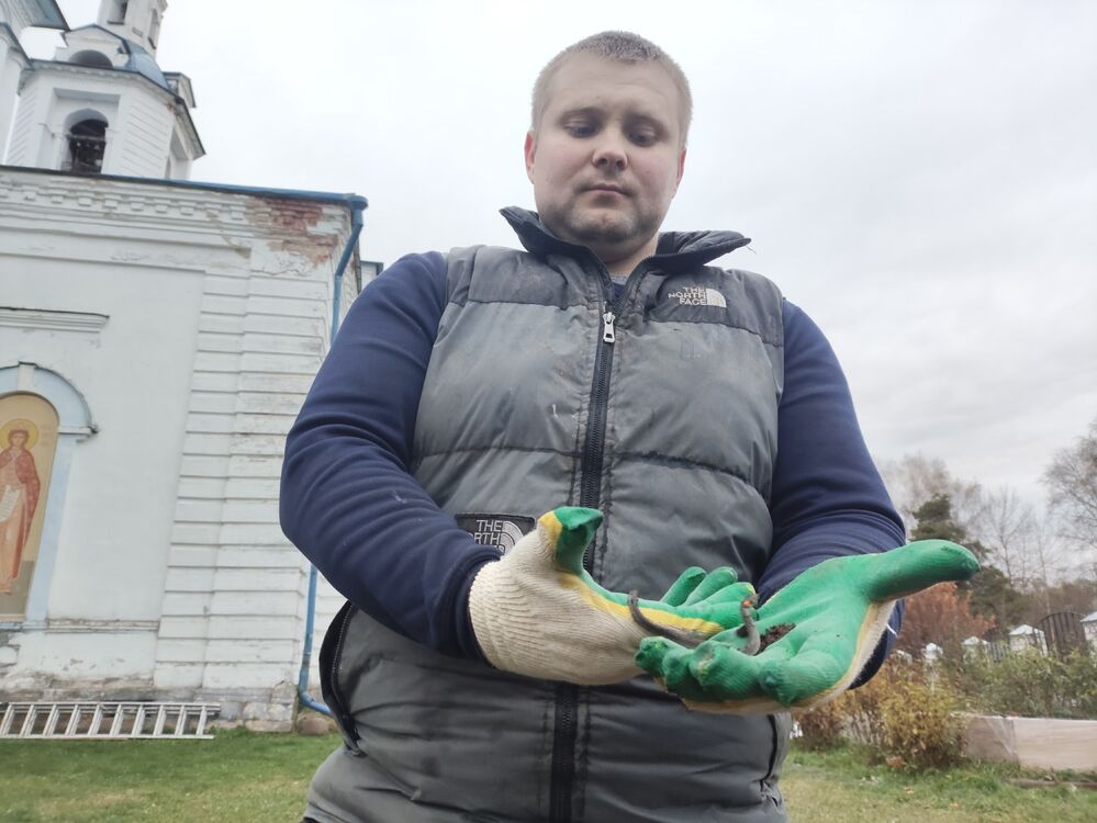 ���� 56156949 ������� ����, 28 ���, ���� ���������� � ��������