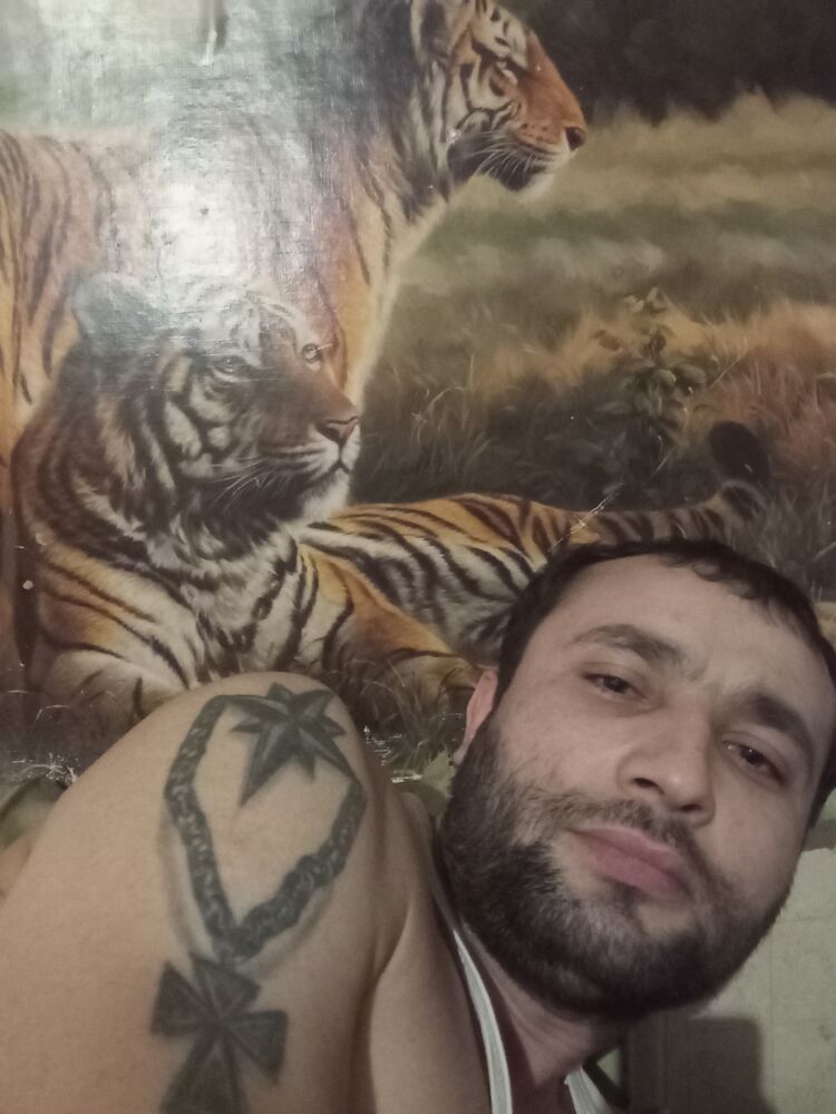  ,   Harmony, 28 ,   ,   