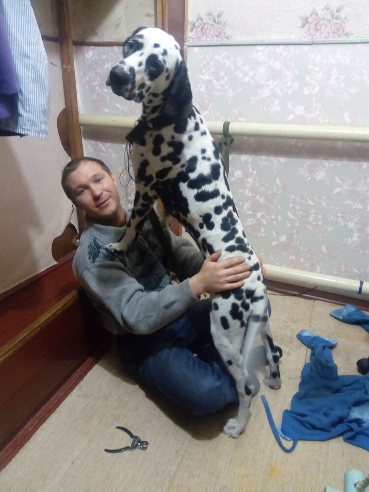  8665109  Grigorij, 35 ,    
