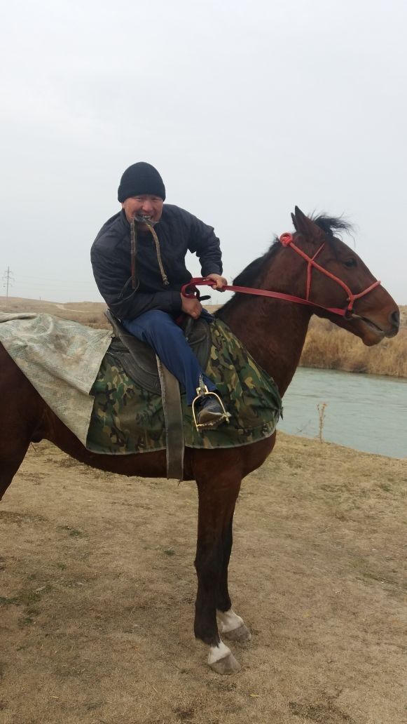 ���� 11512219 ������� ������, 43 ����, ���� ���������� � ������