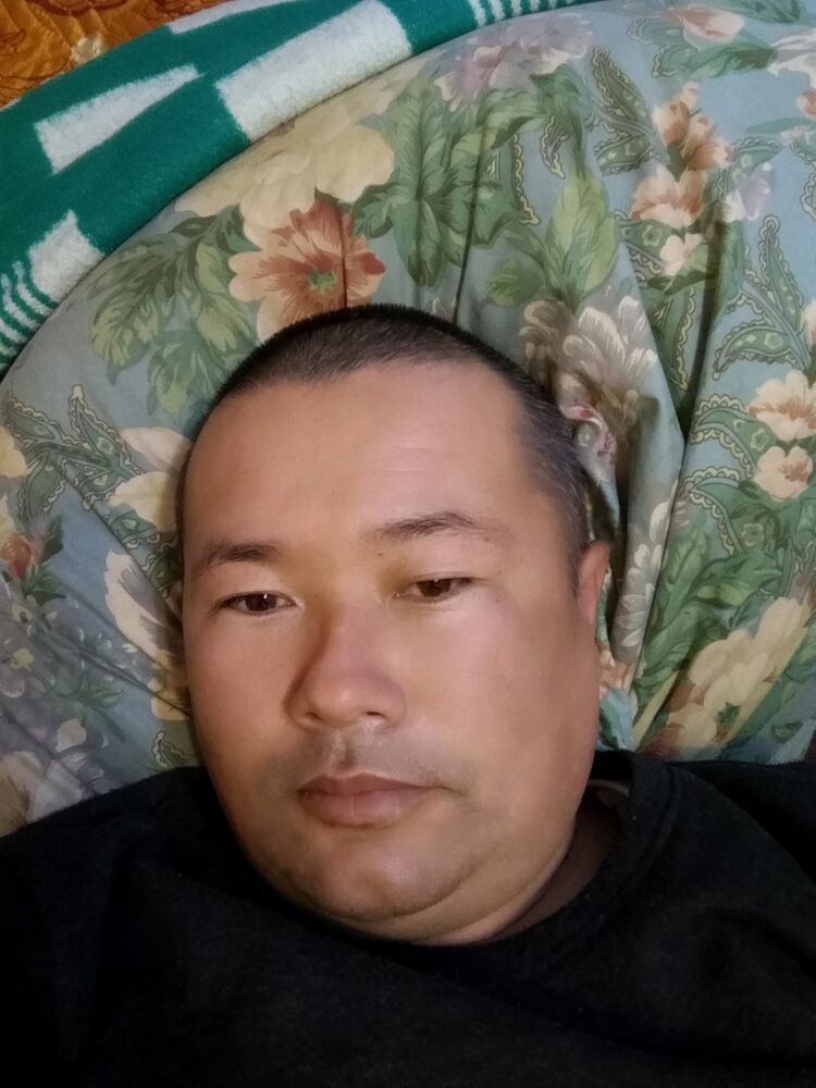  34447909  , 41 ,    