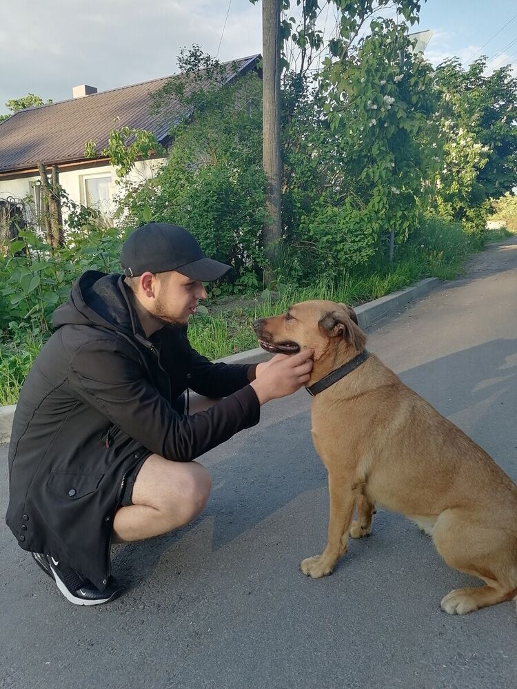 ���� 20048069 ����� �������, 25 ���, ���� ���������� � ������������