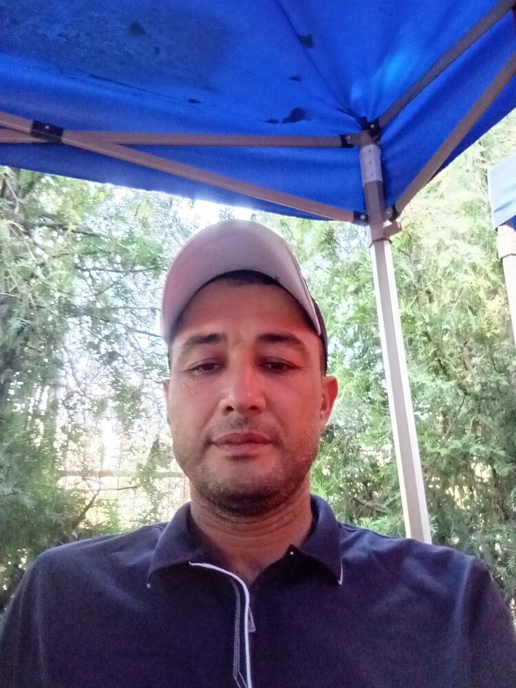 ���� 51704399 ������� ����, 40 ���, ���� ���������� � ������