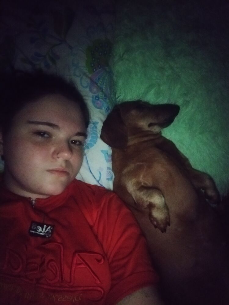 ���������� ������, ���� ������� ���������, 22 ����, ������������ ��� ����� � ���������, c�������� ���������, ���������