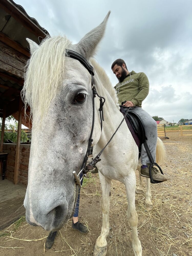 ���������� ������, ���� ������� ������, 28 ���, ������������ ��� ������, ����� � ���������