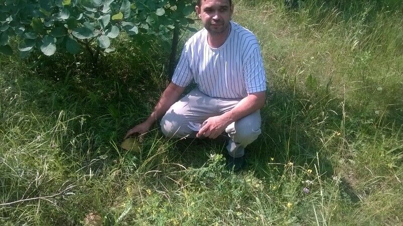 ���� 20412379 ������� ����, 51 ���, ���� ���������� � ��������