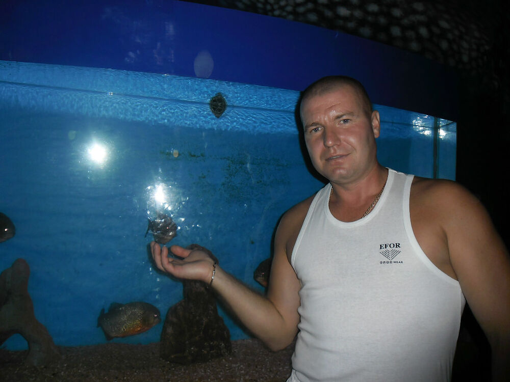 ���� 54799909 ������� ���������, 48 ���, ���� ���������� � ����������