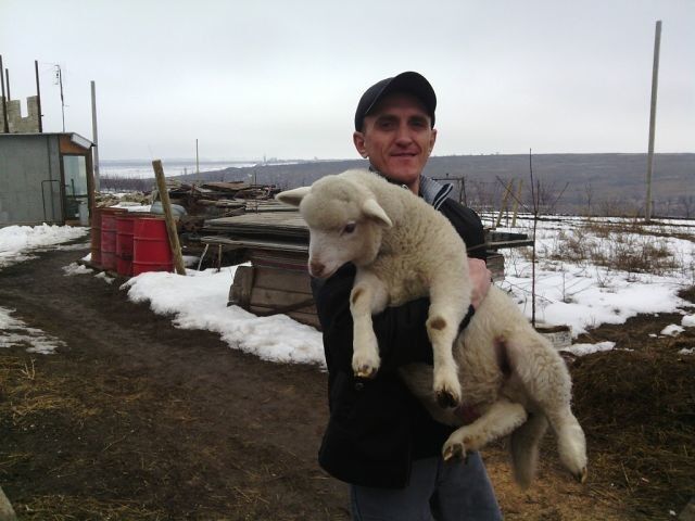 ���������� �������, ���� ������� Djecson, 47 ���, ������������ ��� ������