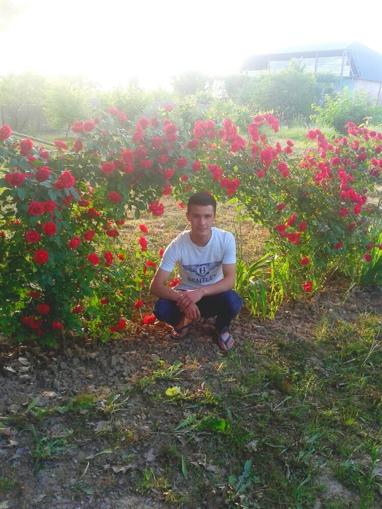 ���������� �������, ���� ������� �������, 28 ���, ������������ ��� ������, ����� � ���������, c�������� ���������