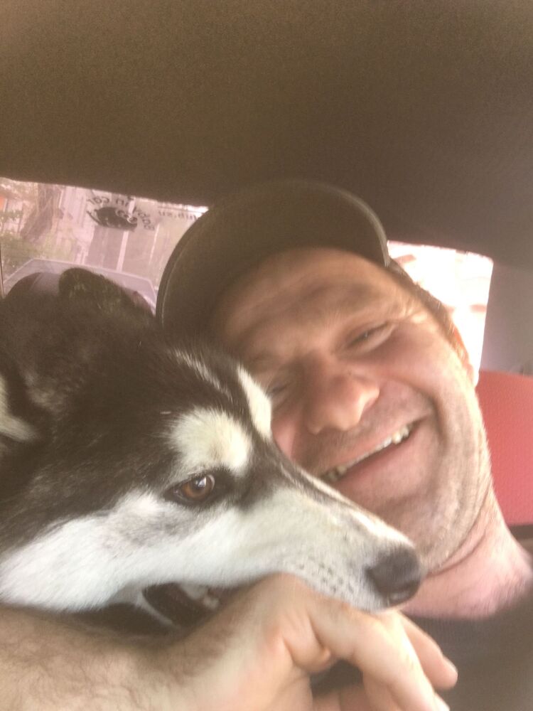 ���� 29033269 ������� �������, 42 ����, ���� ���������� � �������������