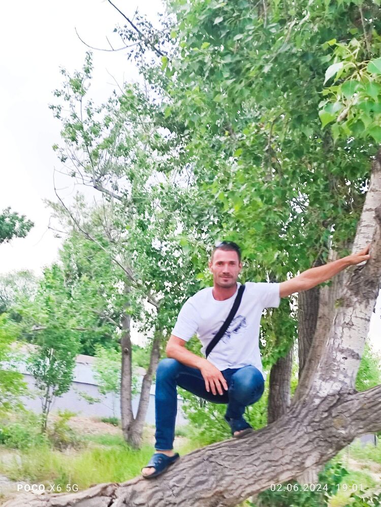 ���� 55560989 ������� ������, 33 ����, ���� ���������� � ��������