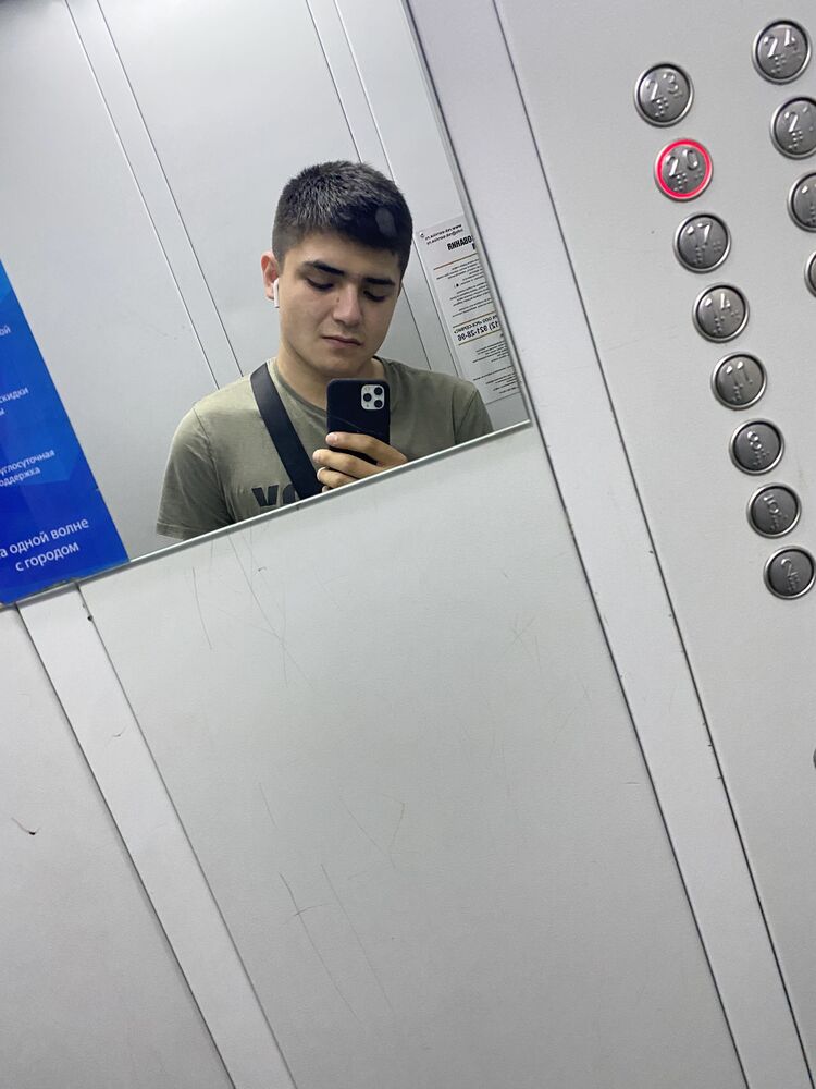  28641209  , 22 ,    -