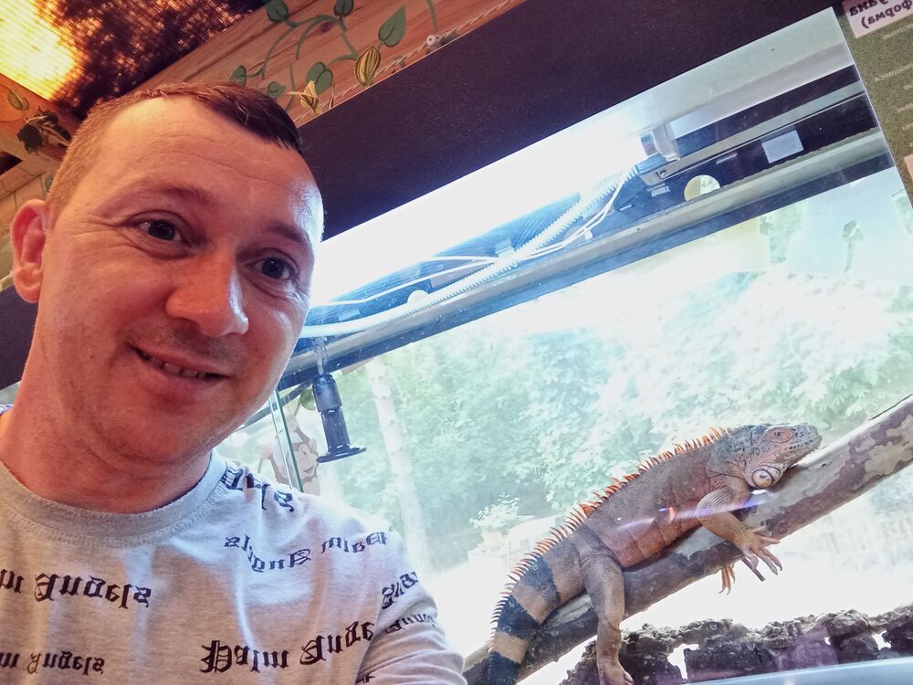  ,   , 41 ,  