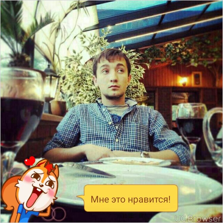  6547439  , 36 ,    