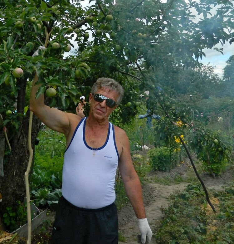  13705199  Vlad, 62 ,    