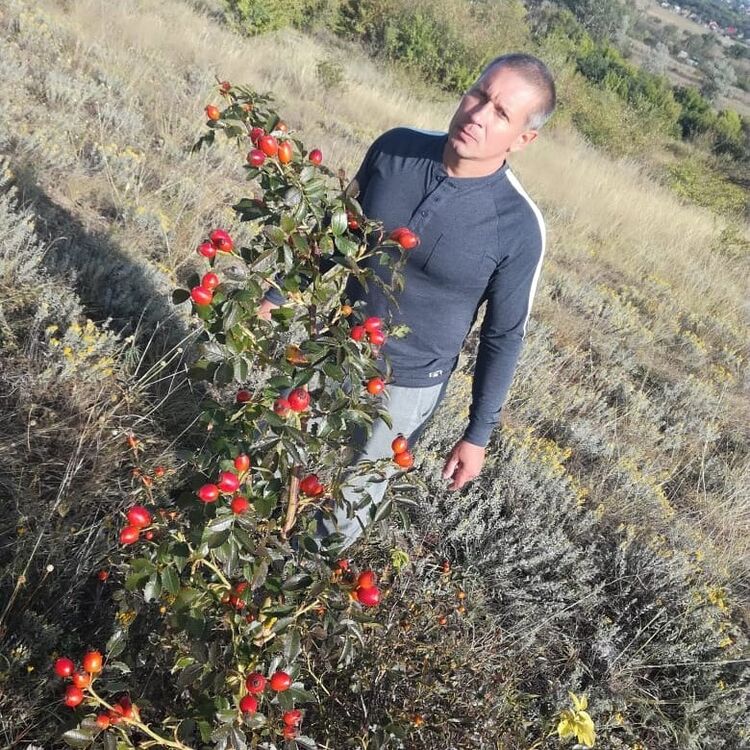 ���������� �����, ���� ������� ��������, 53 ����, ������������ ��� ������, ����� � ���������