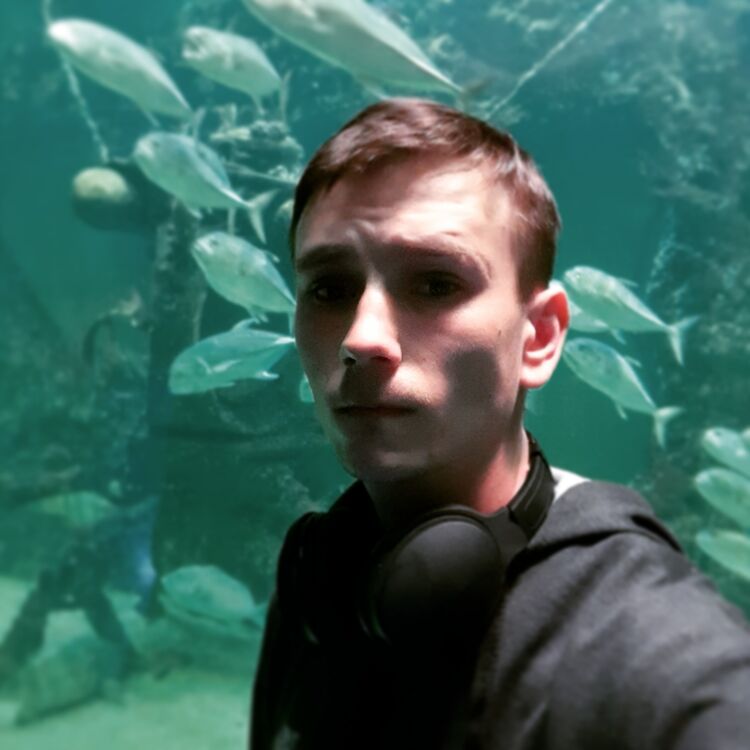 ���� 22883029 ������� ����, 28 ���, ���� ���������� � ������