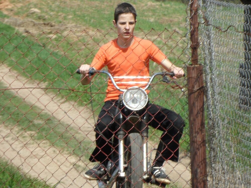 ���������� �����, ���� ������� �����, 29 ���, ������������ 