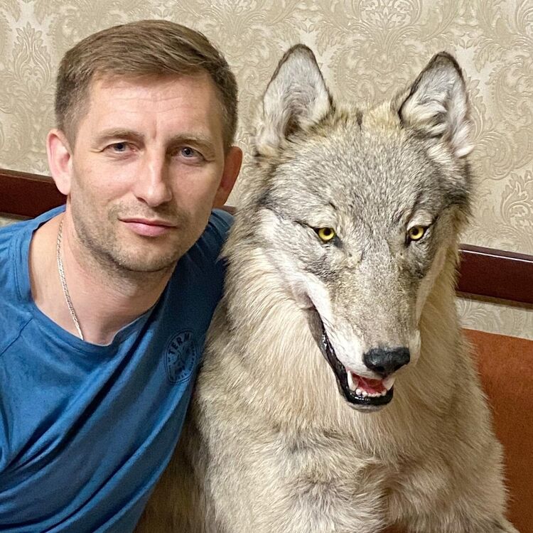 ���� 26671899 ������� �����, 48 ���, ���� ���������� � ����������