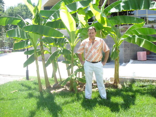 ���� 6264559 ������� ������, 52 ����, ���� ���������� � ��������