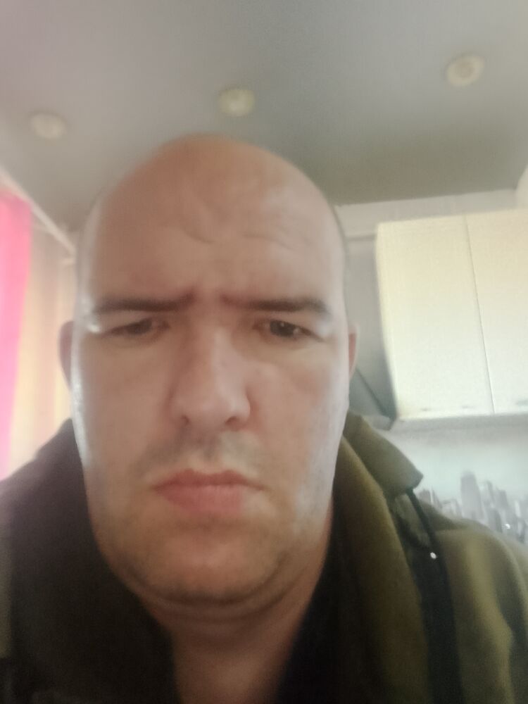  46449579  , 43 ,    