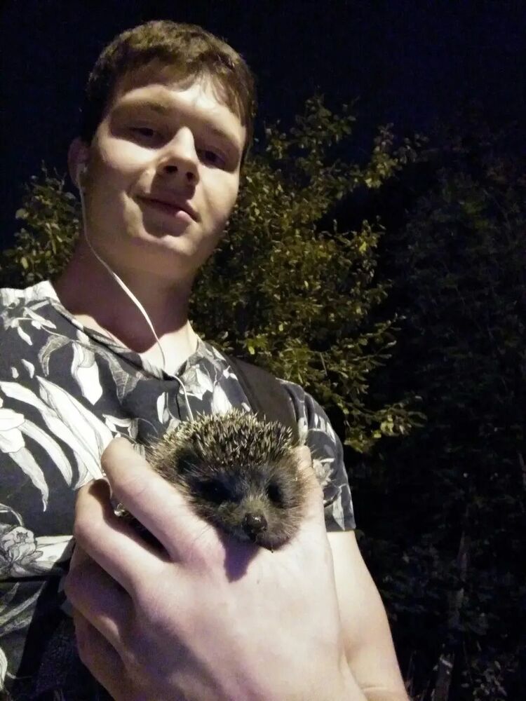 ���� 33385119 ������� ����������, 30 ���, ���� ���������� � ������