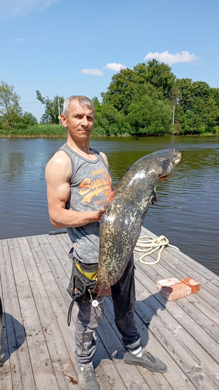 ���� 44126859 ������� ��������, 36 ���, ���� ���������� � ������������