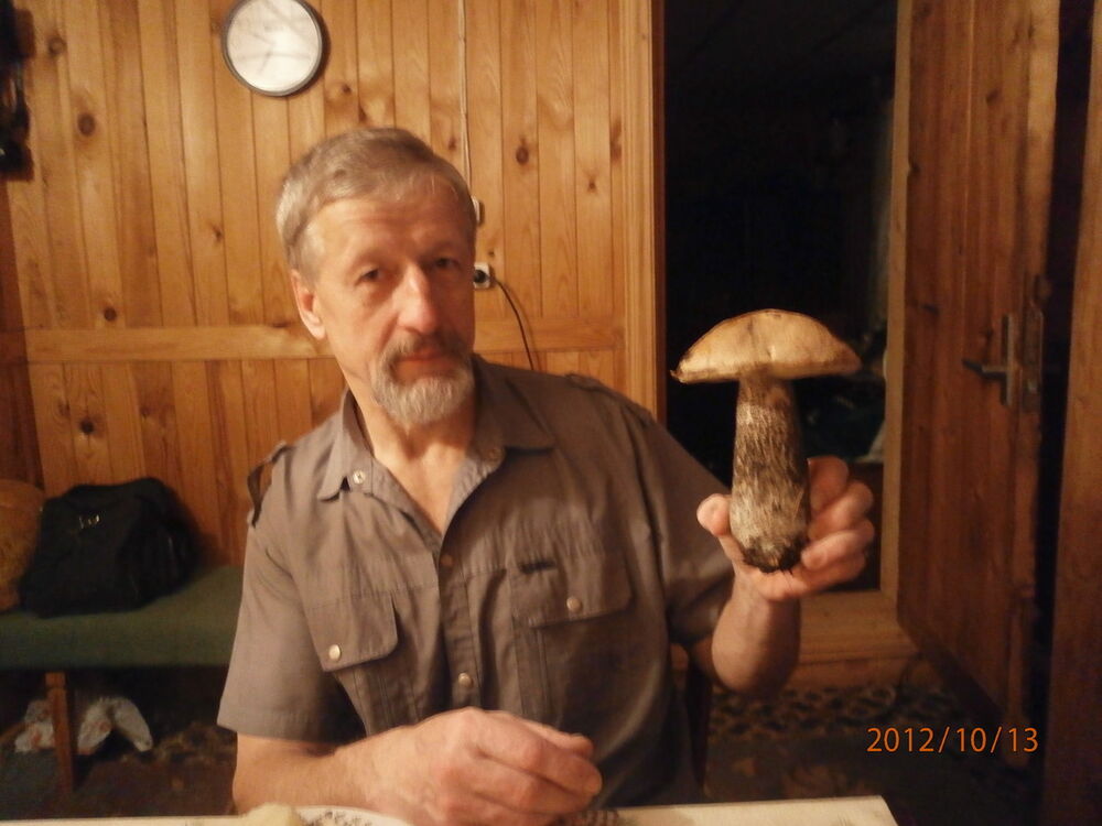 ���� 5370899 ������� ���������, 72 ����, ���� ���������� � �����-����������