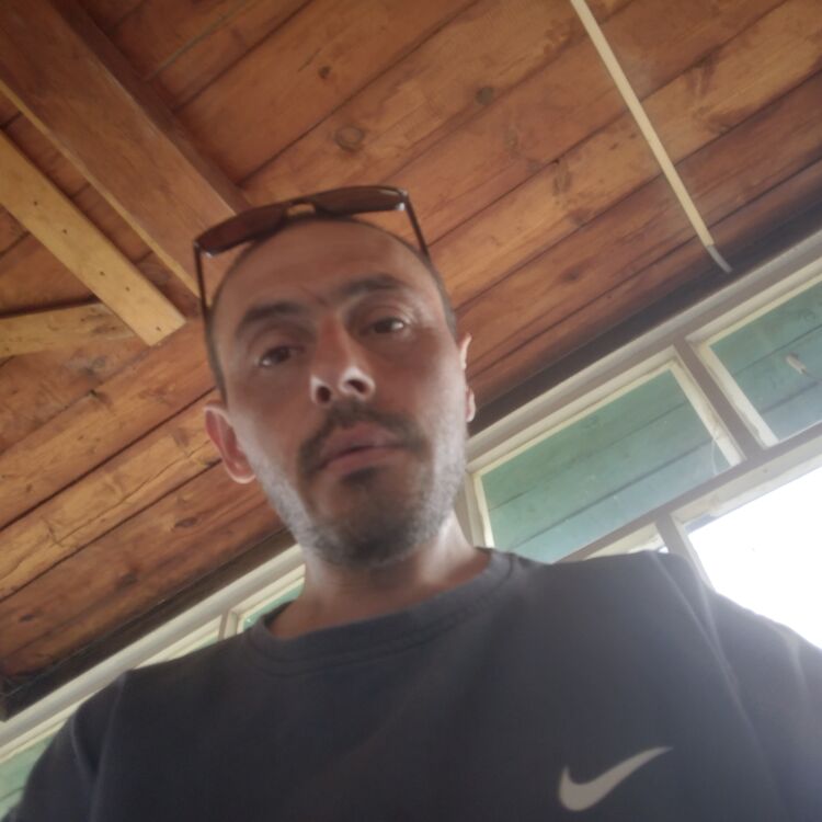  51917139  , 18 ,    
