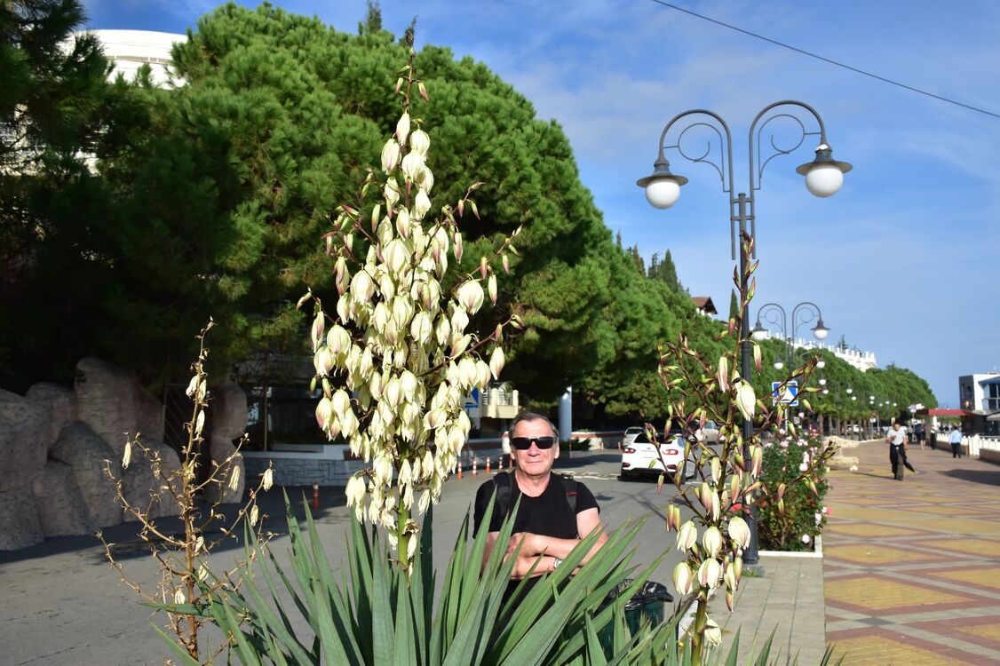 ���� 54646919 ������� ��������, 63 ����, ���� ���������� � ����