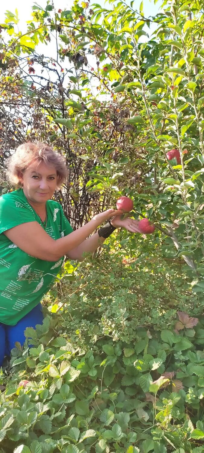 ���� 49608389 ������� ��������, 63 ����, ���� ���������� � ��������