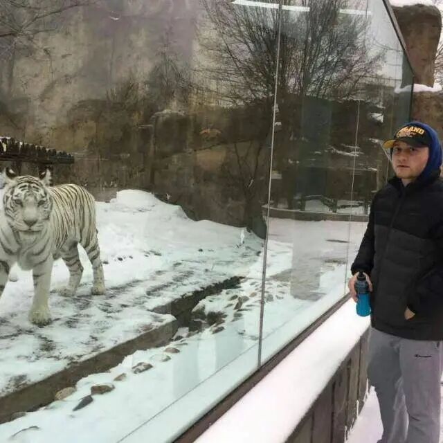 ���� 27479589 ������� ������, 37 ���, ���� ���������� � ���������