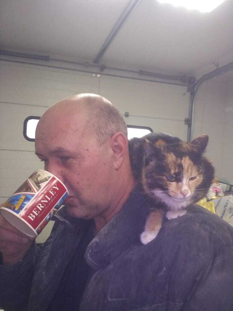 ���� 25554439 ������� �������, 52 ����, ���� ���������� � ��������