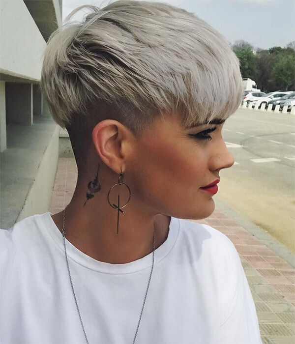 ���� 55699329 ������� �������, 50 ���, ���� ���������� � �������