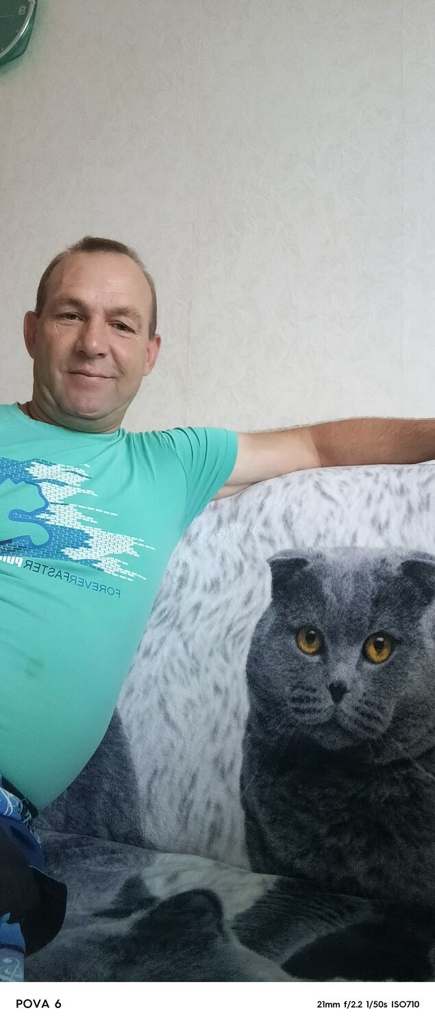 ���� 54929969 ������� ����, 50 ���, ���� ���������� � ��������