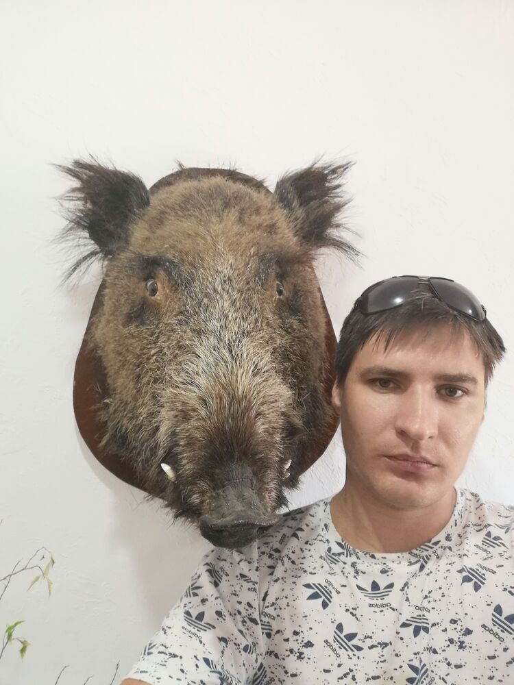 ���� 24609509 ������� �������, 39 ���, ���� ���������� � ������