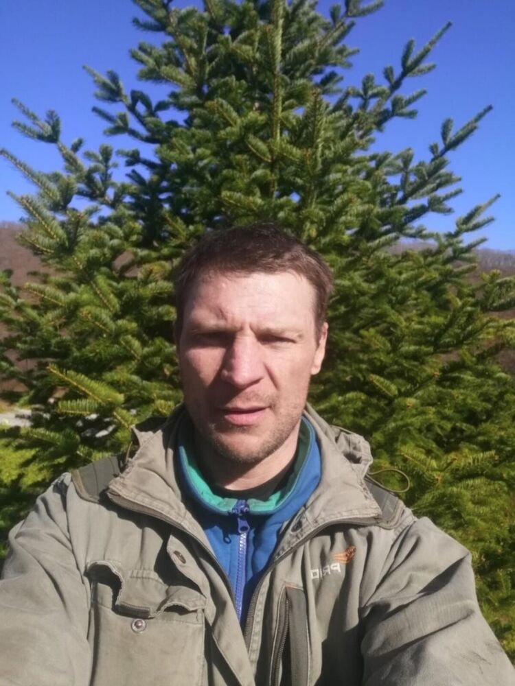 ���������� �������, ���� ������� ��������, 95 ���, ������������ ��� ������, ����� � ���������, c�������� ���������