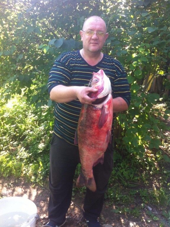  ,   , 55 ,   